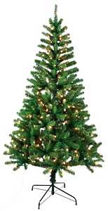 6.5' TILLAMOOK FIR TREE PRELIT CLEAR