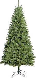 7' DOUGLAS FIR TREE